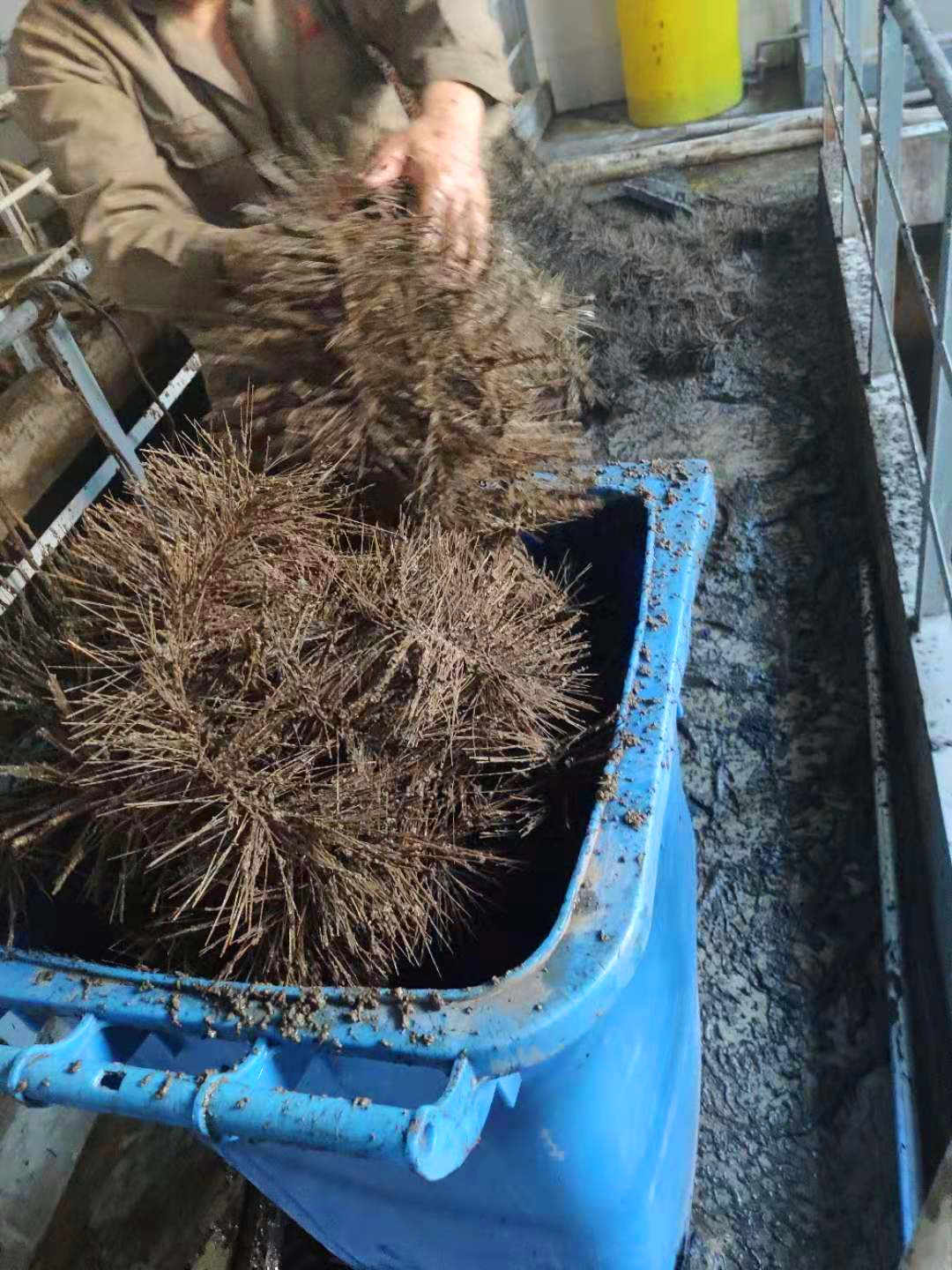 �������d������Ʒ����ˮ̎��վ����